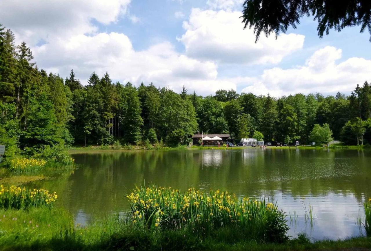 Rhöner Landhotel Haus zur Wasserkuppe Ehrenberg  Exterior foto